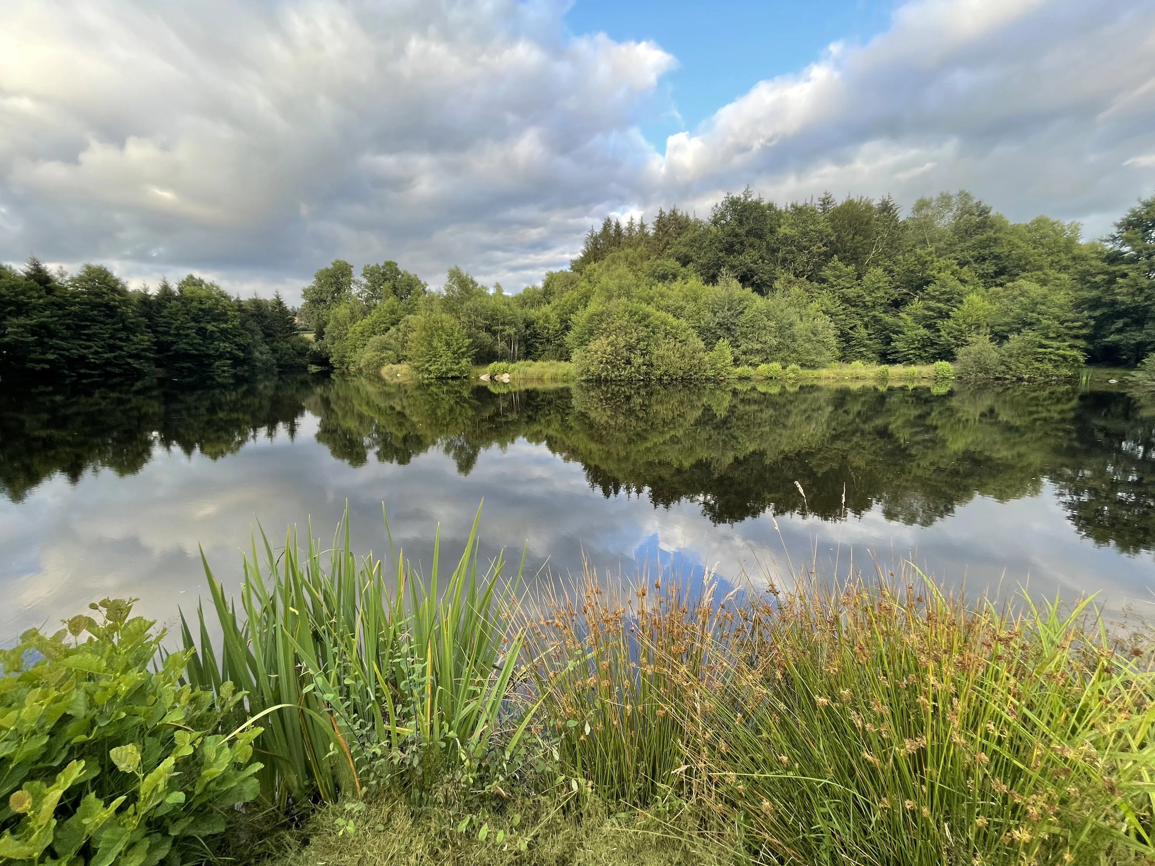 Réservoir de pêche à la mouche