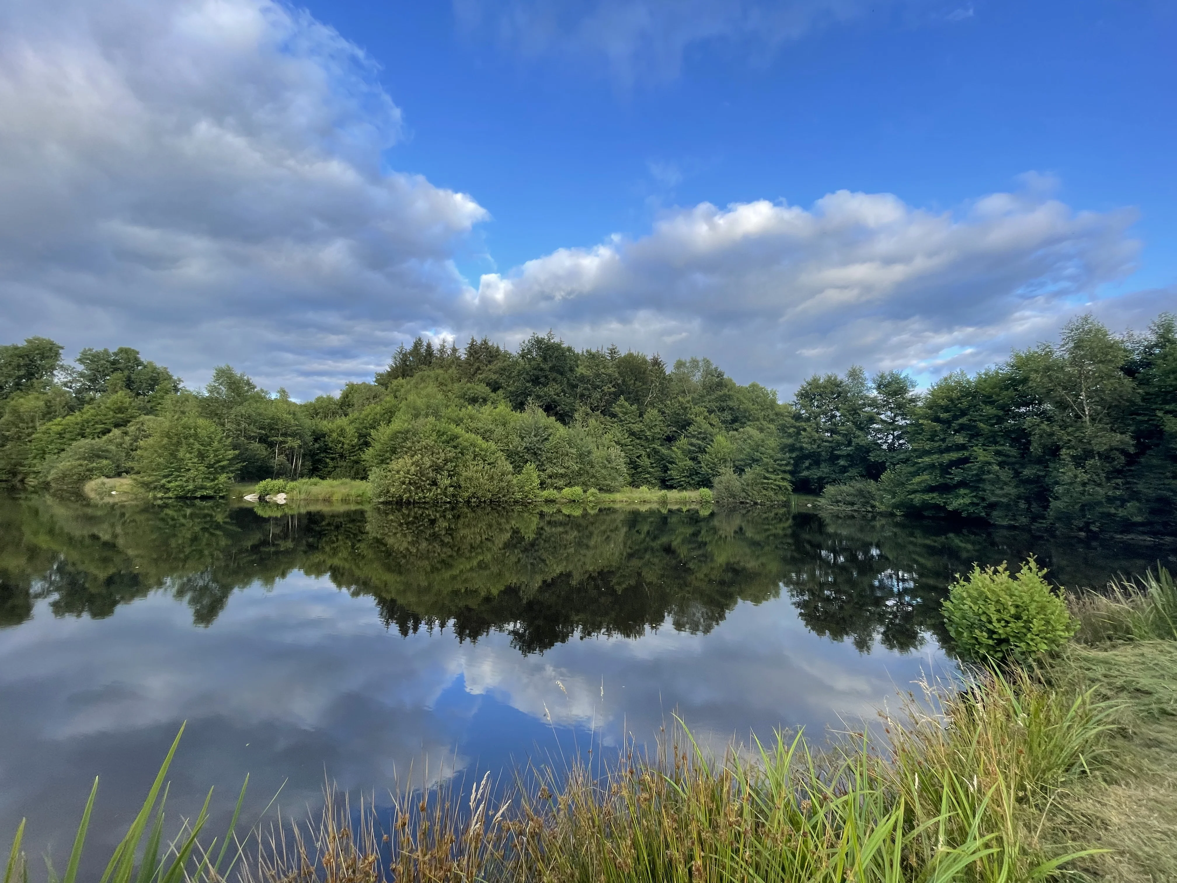 Réservoir de pêche à la mouche - vue 3