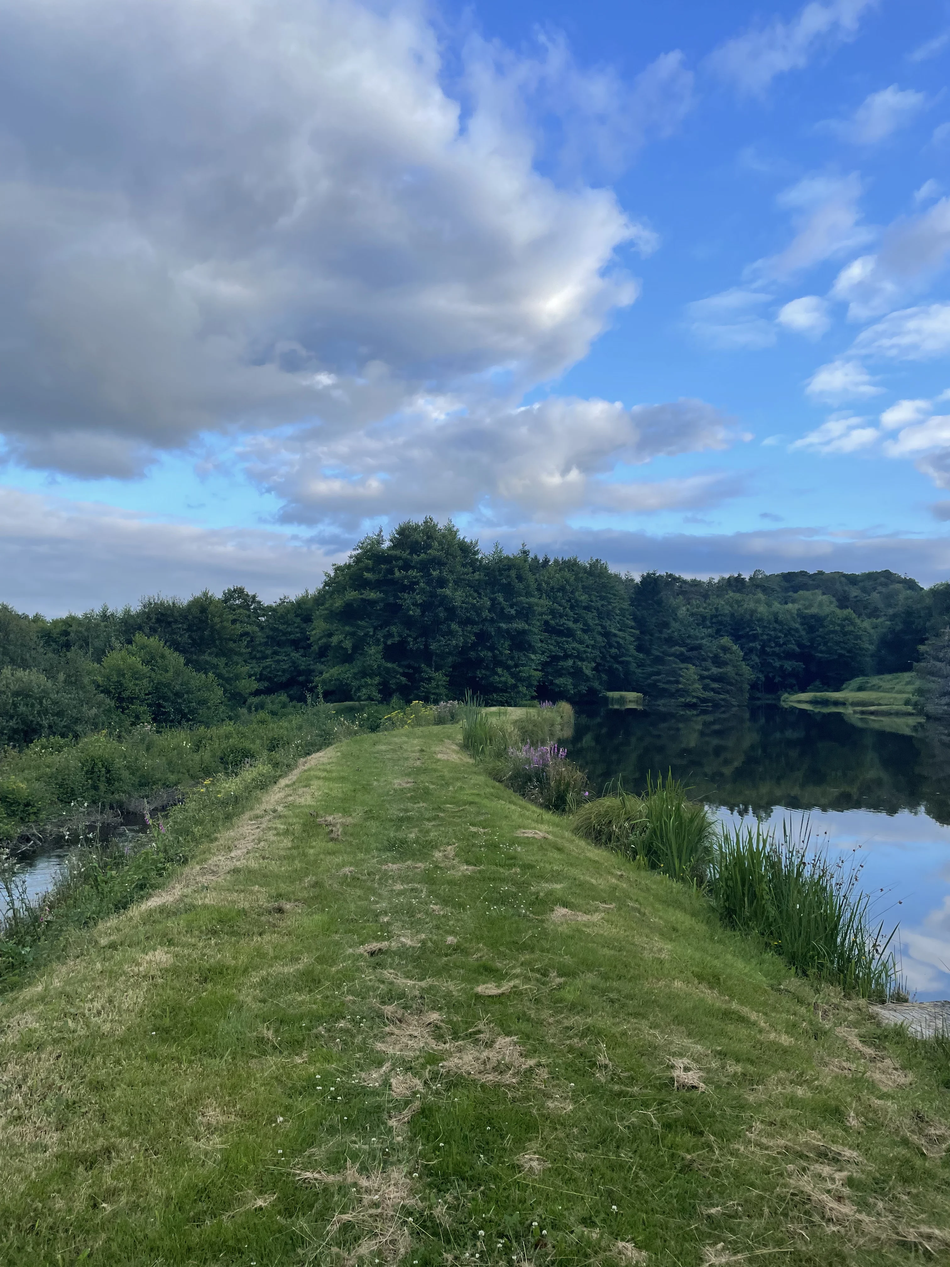 Réservoir de pêche à la mouche - vue 1