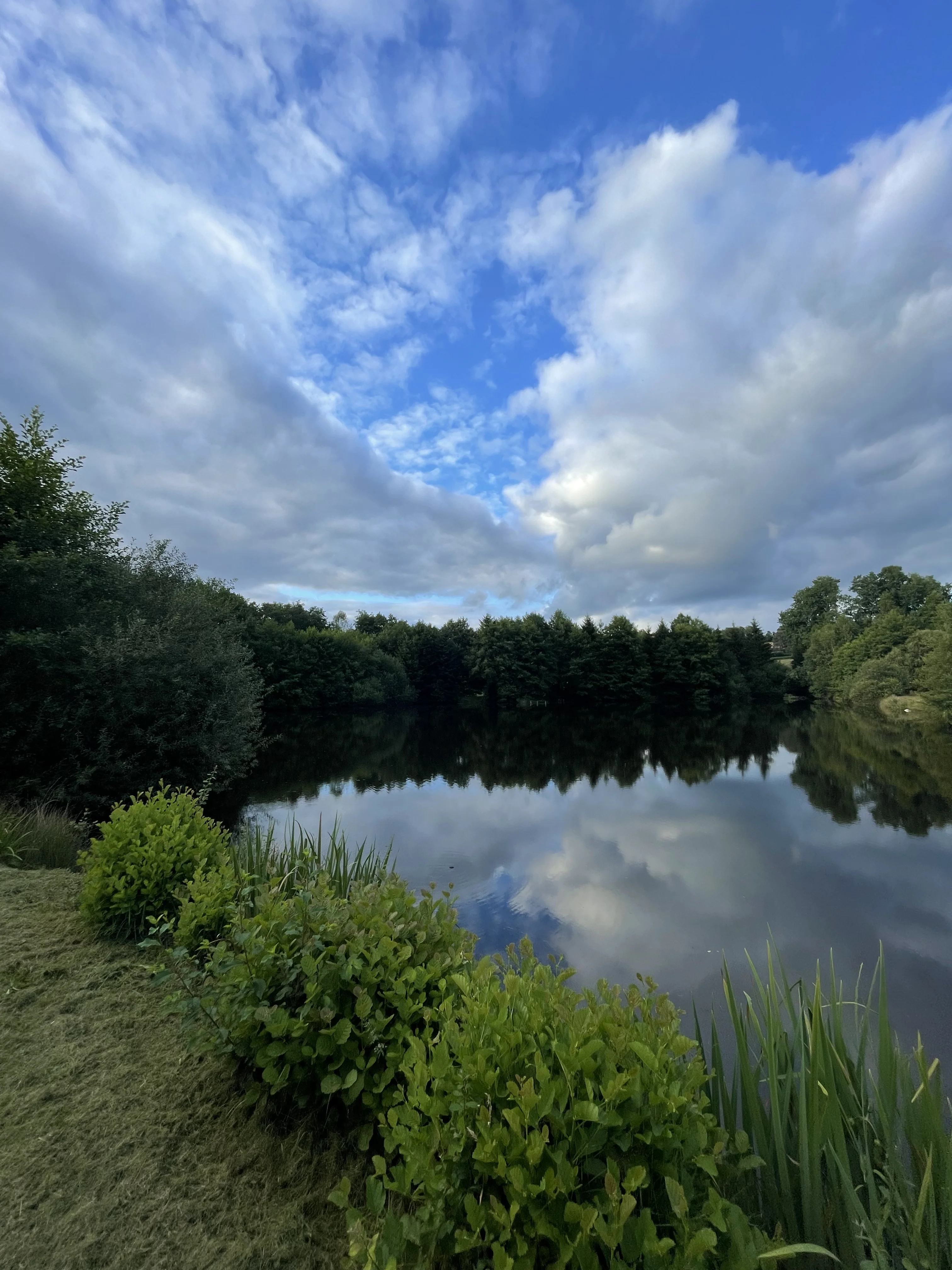 Réservoir de pêche à la mouche - vue 2