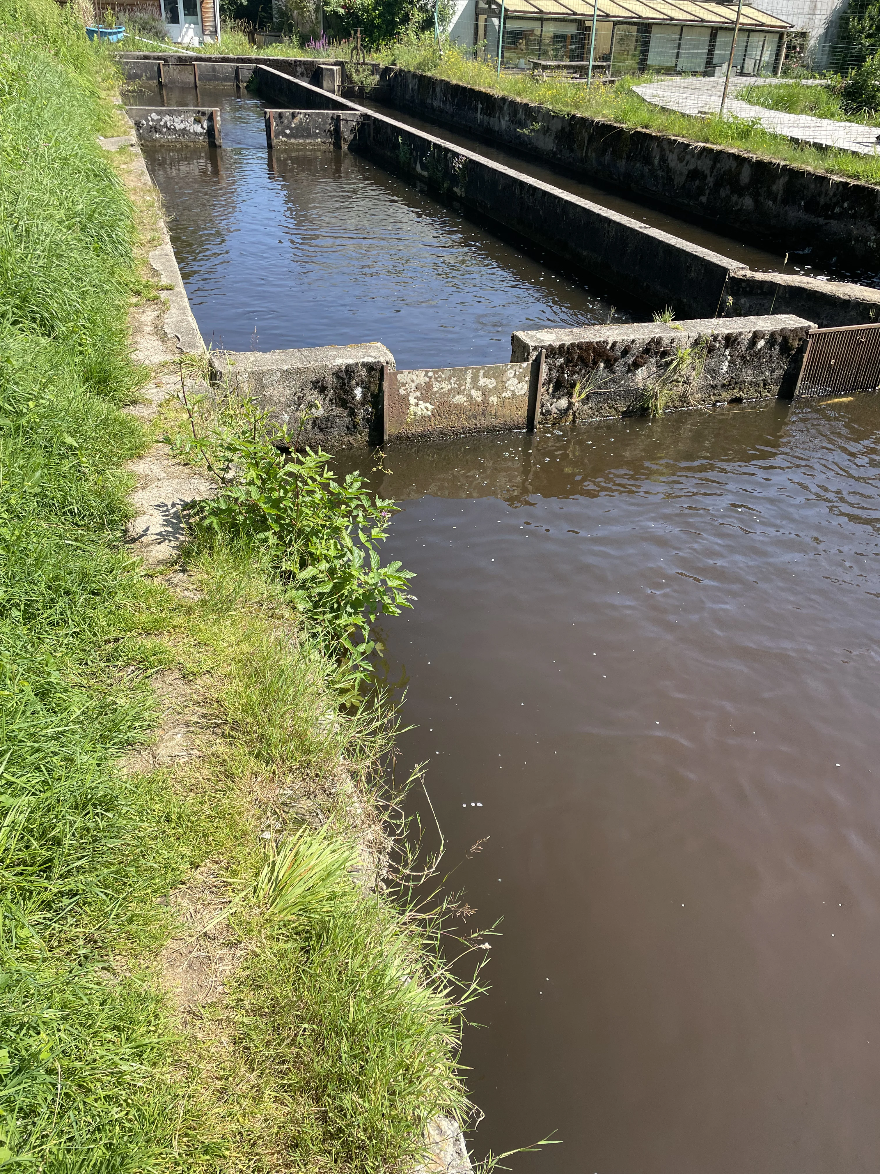 Bassins d'élevage