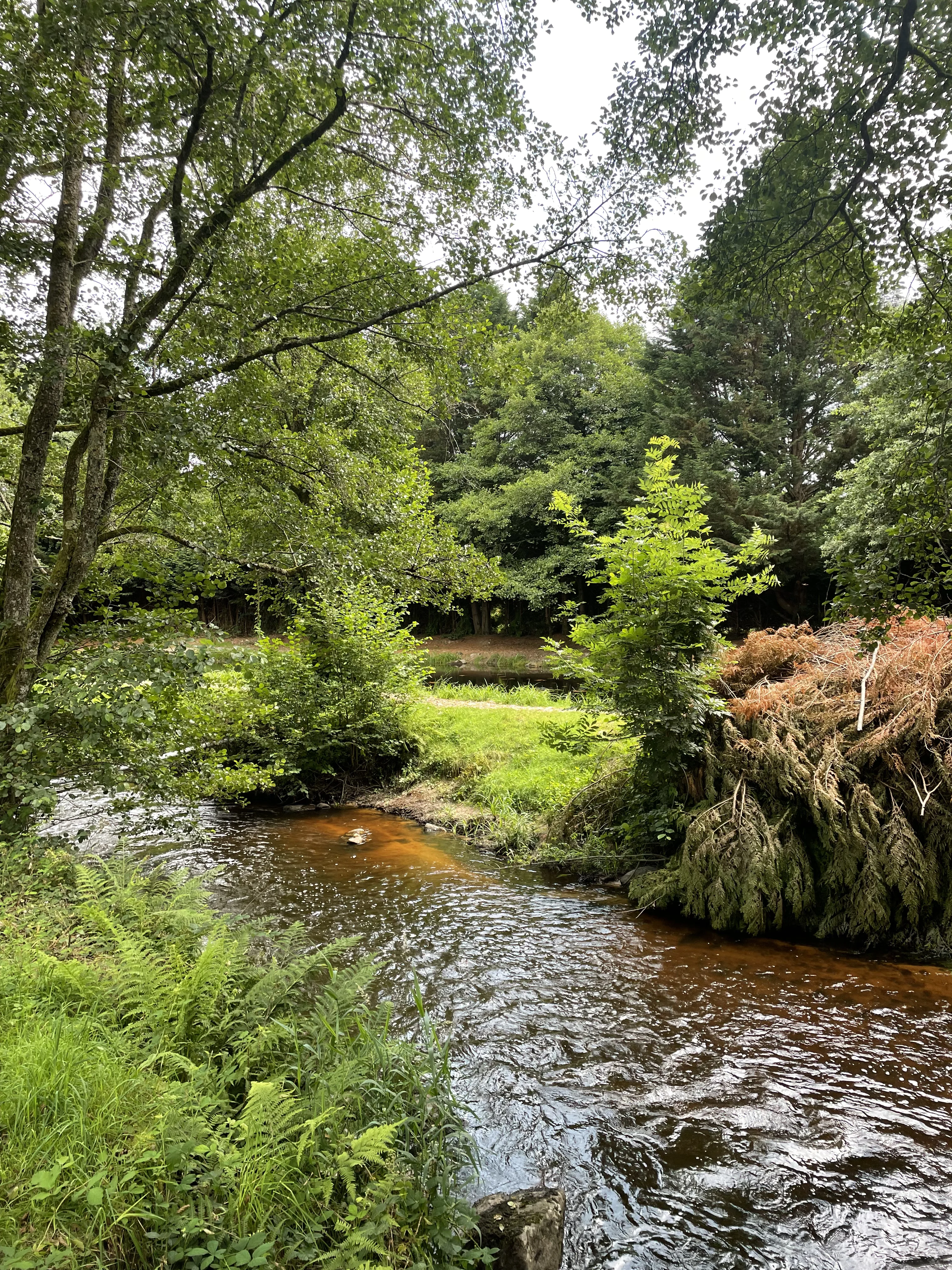 Rivière traversant le domaine