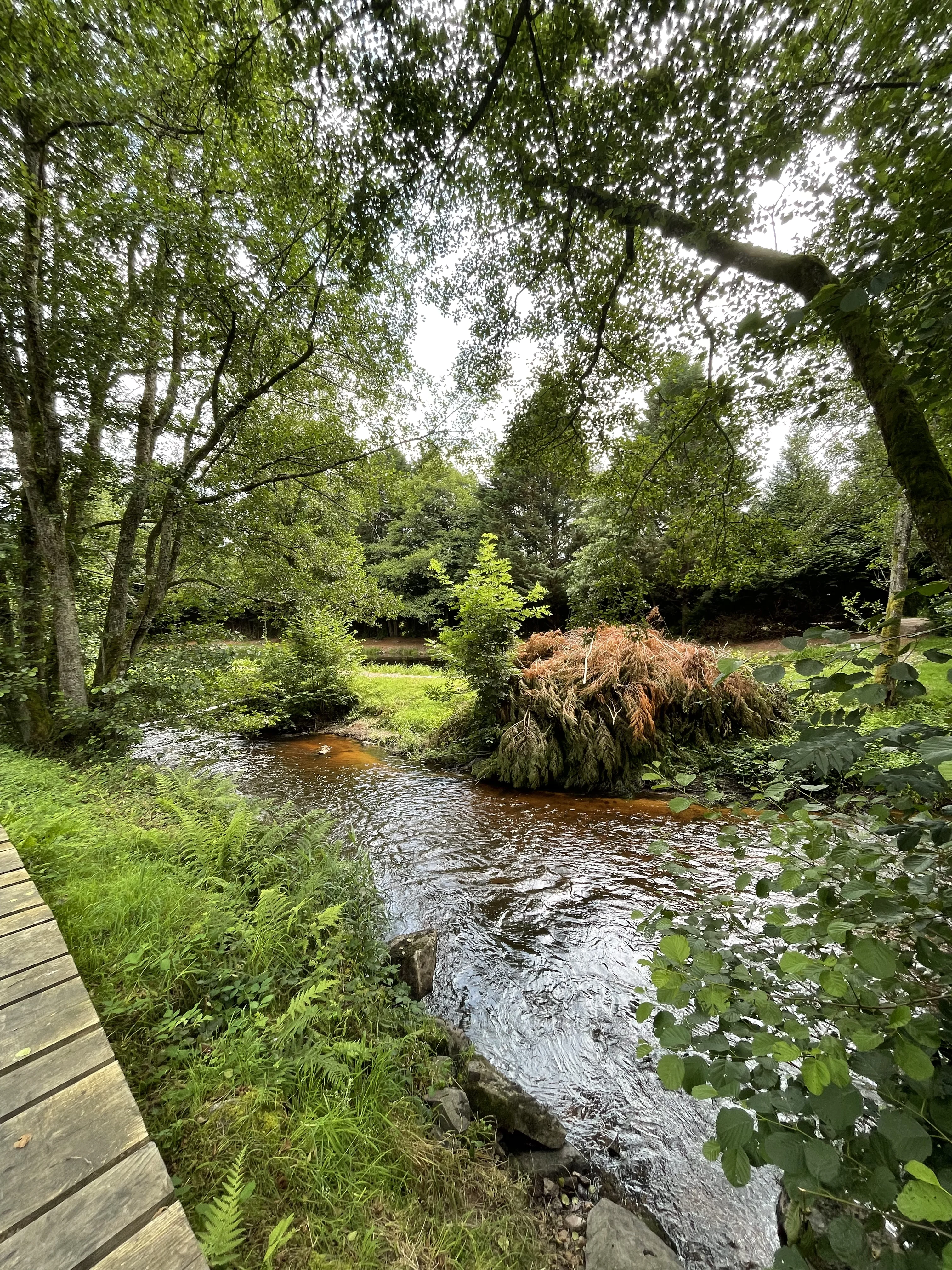 Environnement naturel préservé